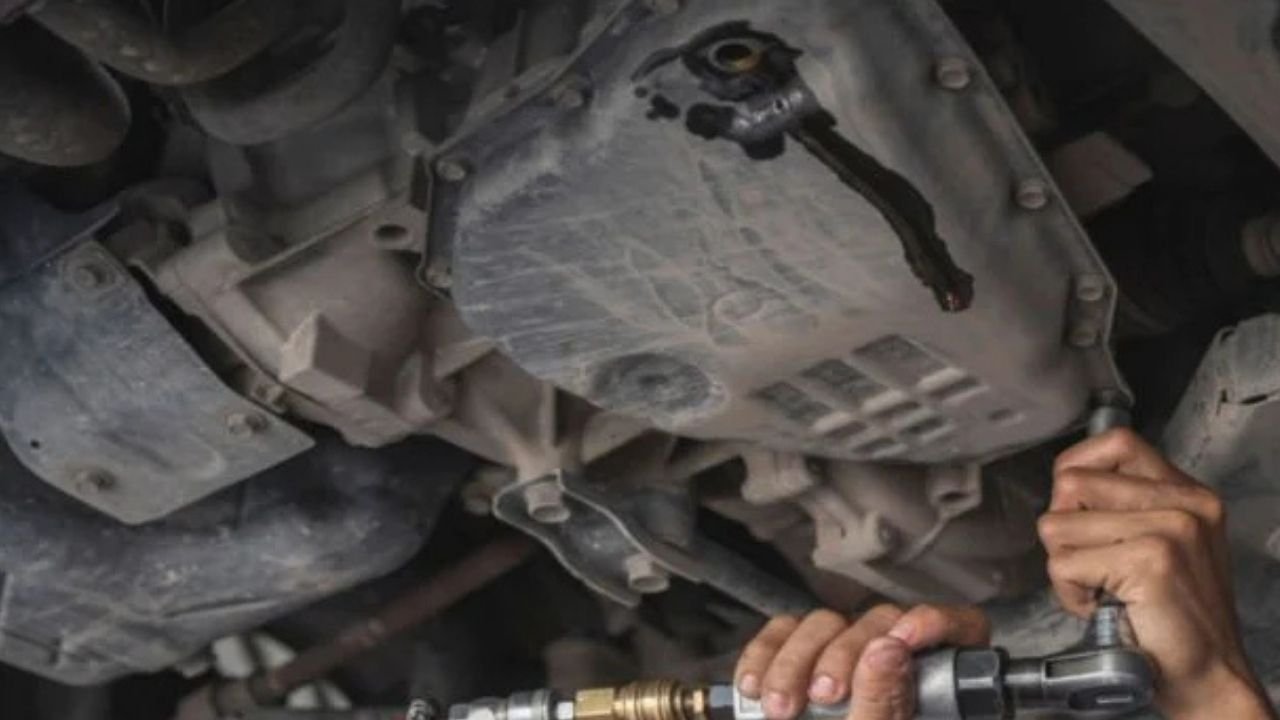 Karter Tapası Nedir