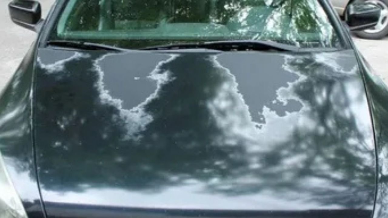 Güneş Yanığı Giderme