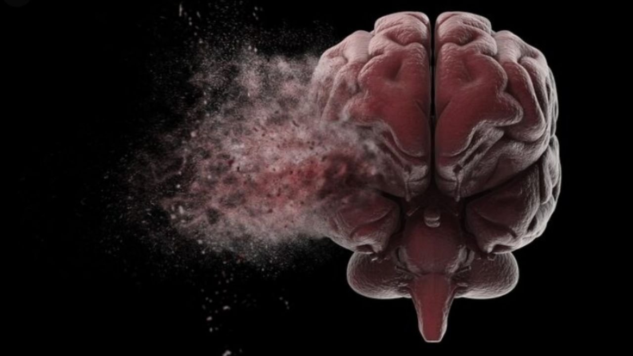 What Factors Affect Brain Shunt Prices? 1 Brain shunt prices