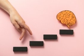 Which Factors Affect Brain Development