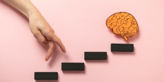 Which Factors Affect Brain Development?