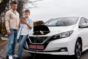 Elektrikli Araç Satışları