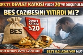 BES’te Devlet Katkısı