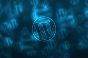 wordpress-kullanicileri (1)