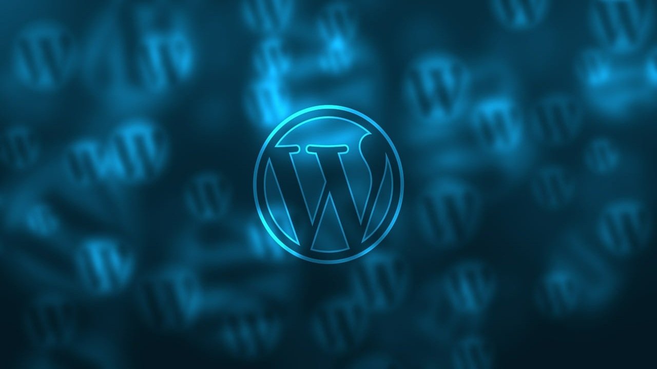 wordpress-kullanicileri (1)